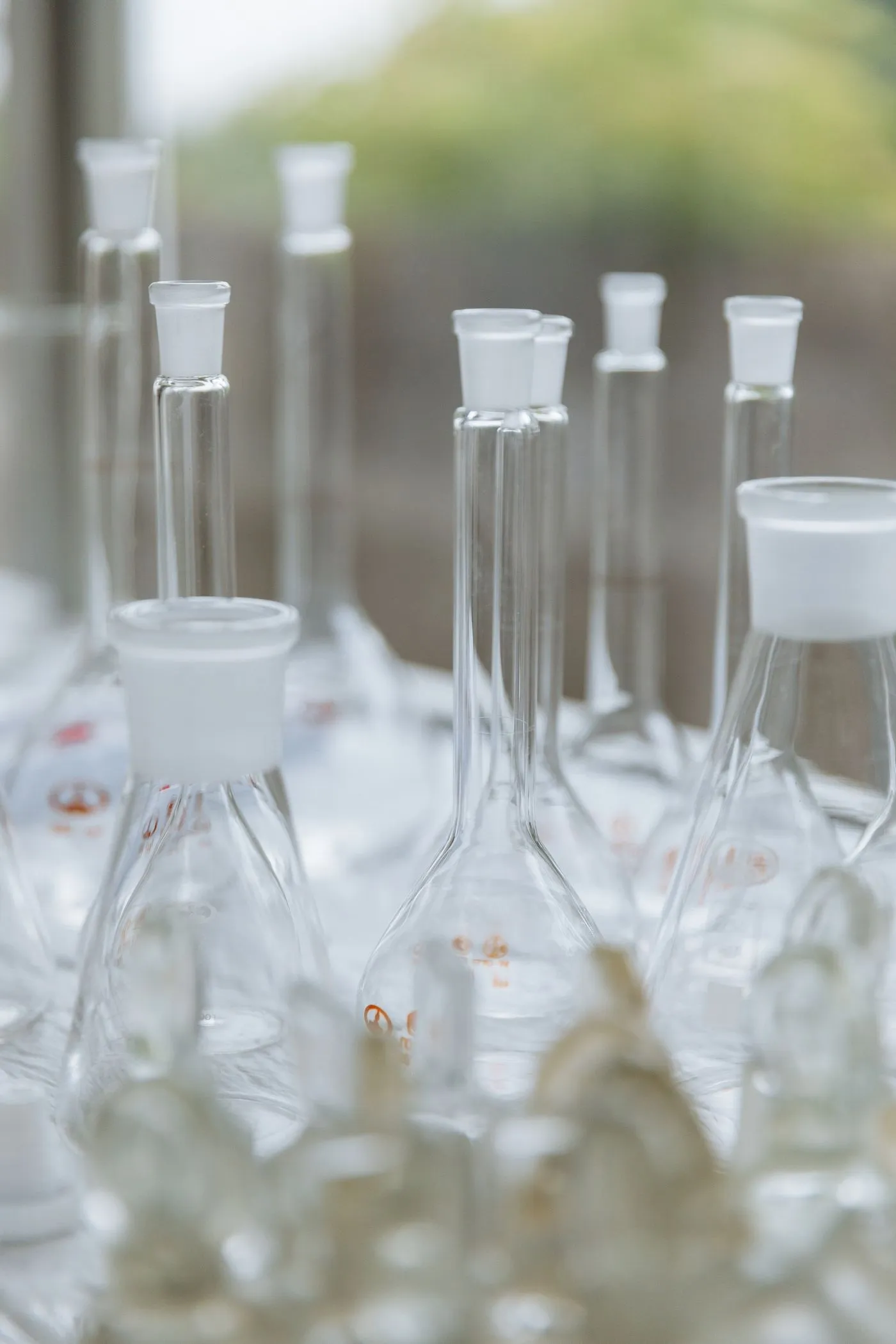 Clean laboratory glassware and beakers in soft daylight